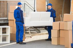 Removals Service – Identify The Reality About Them