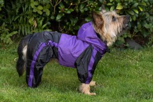 In-Depth Analysis On The Dog Suit Waterproof
