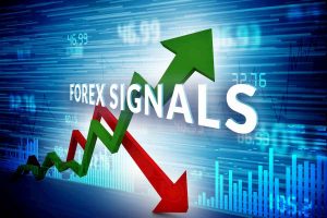 Meaning of Forex Signals and How They Work?