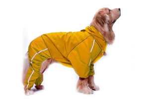 Individual Guide On Dog Rain Coats